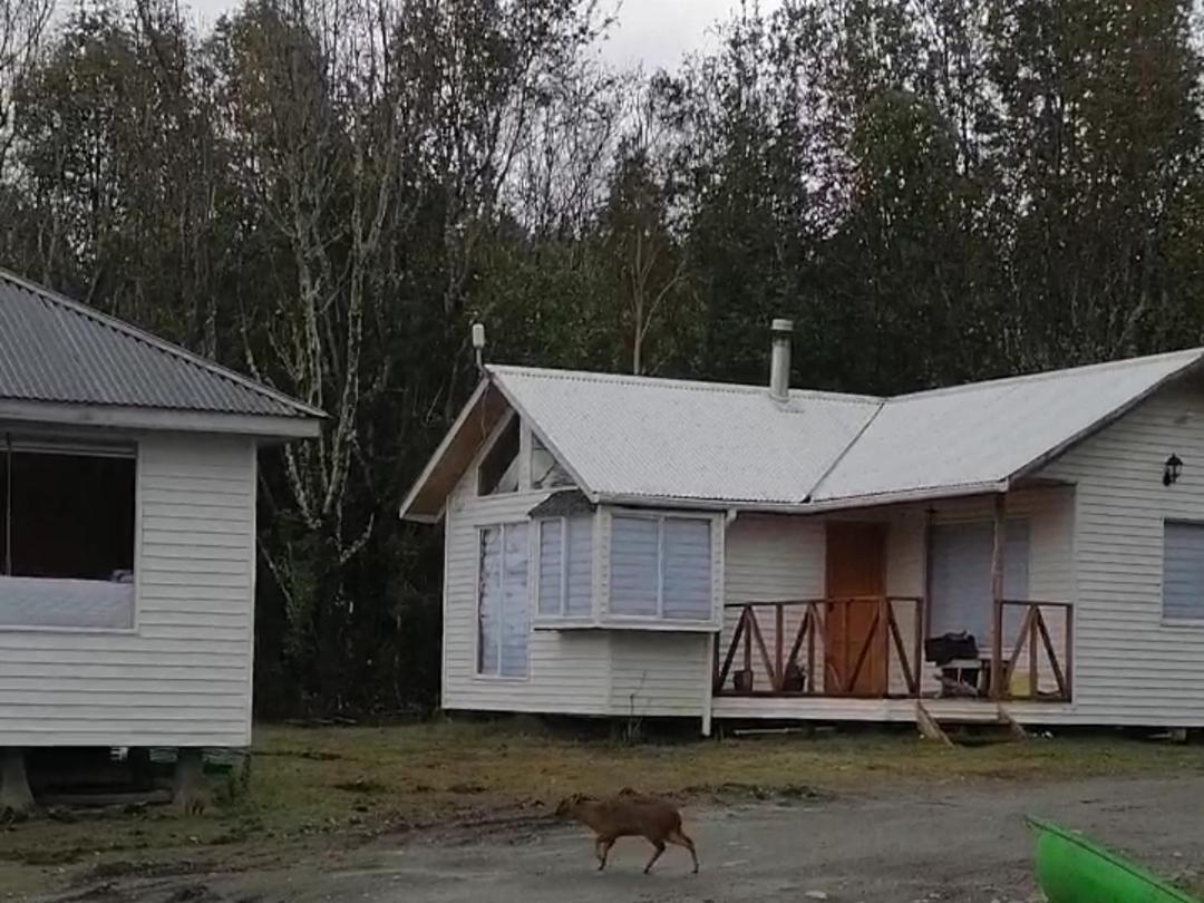 Cabanas Bosquemar 1 Queilen Екстер'єр фото